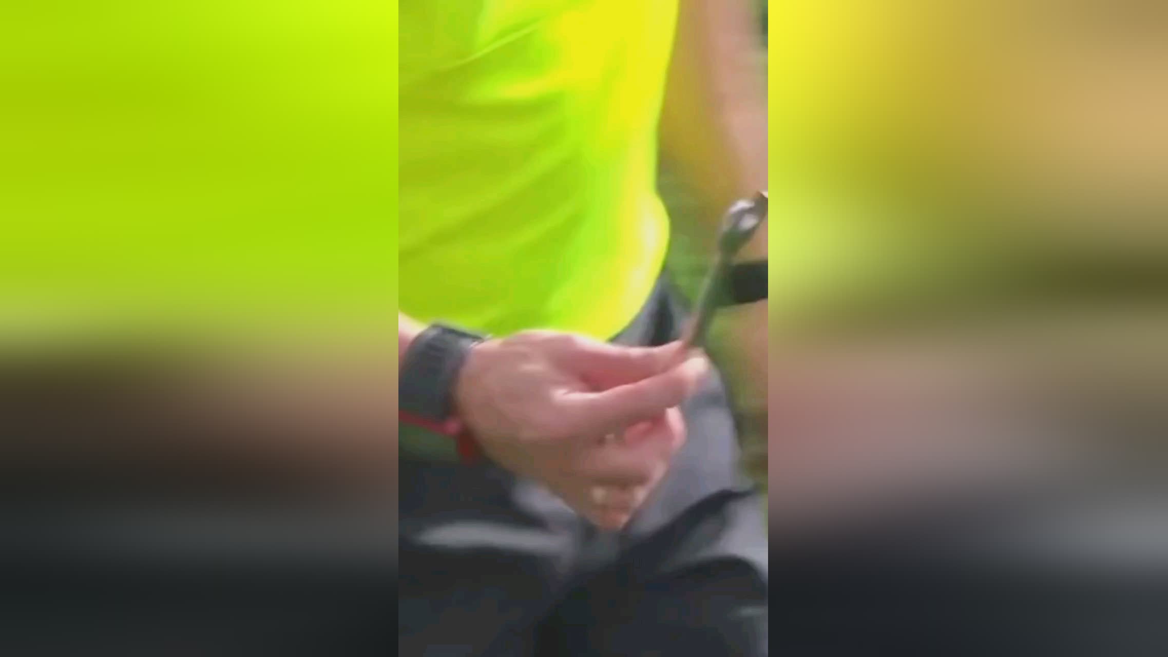 一个关